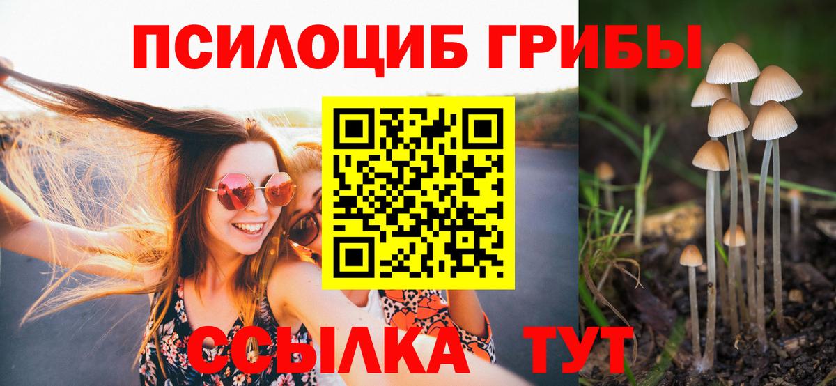Галлюциногенные грибы мухоморы  Вход с VPN  Галлюциногенные грибы Psilocybine cubensis  Электрогорск 